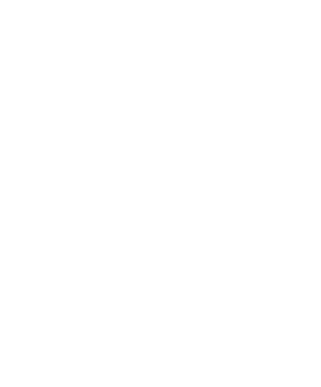 İnat Radyo Logo
